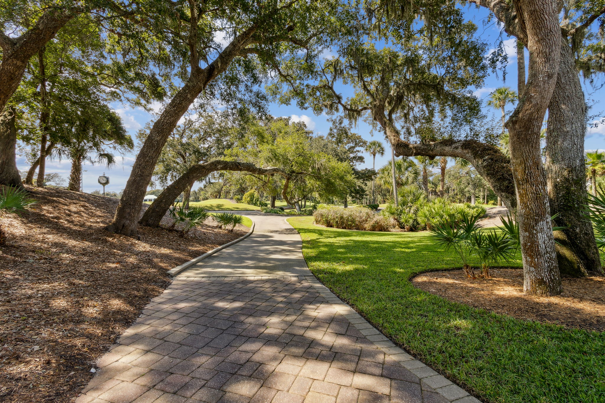 The Amelia Island Club