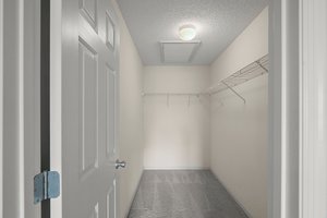 Primary Bedroom Walk In Closet
