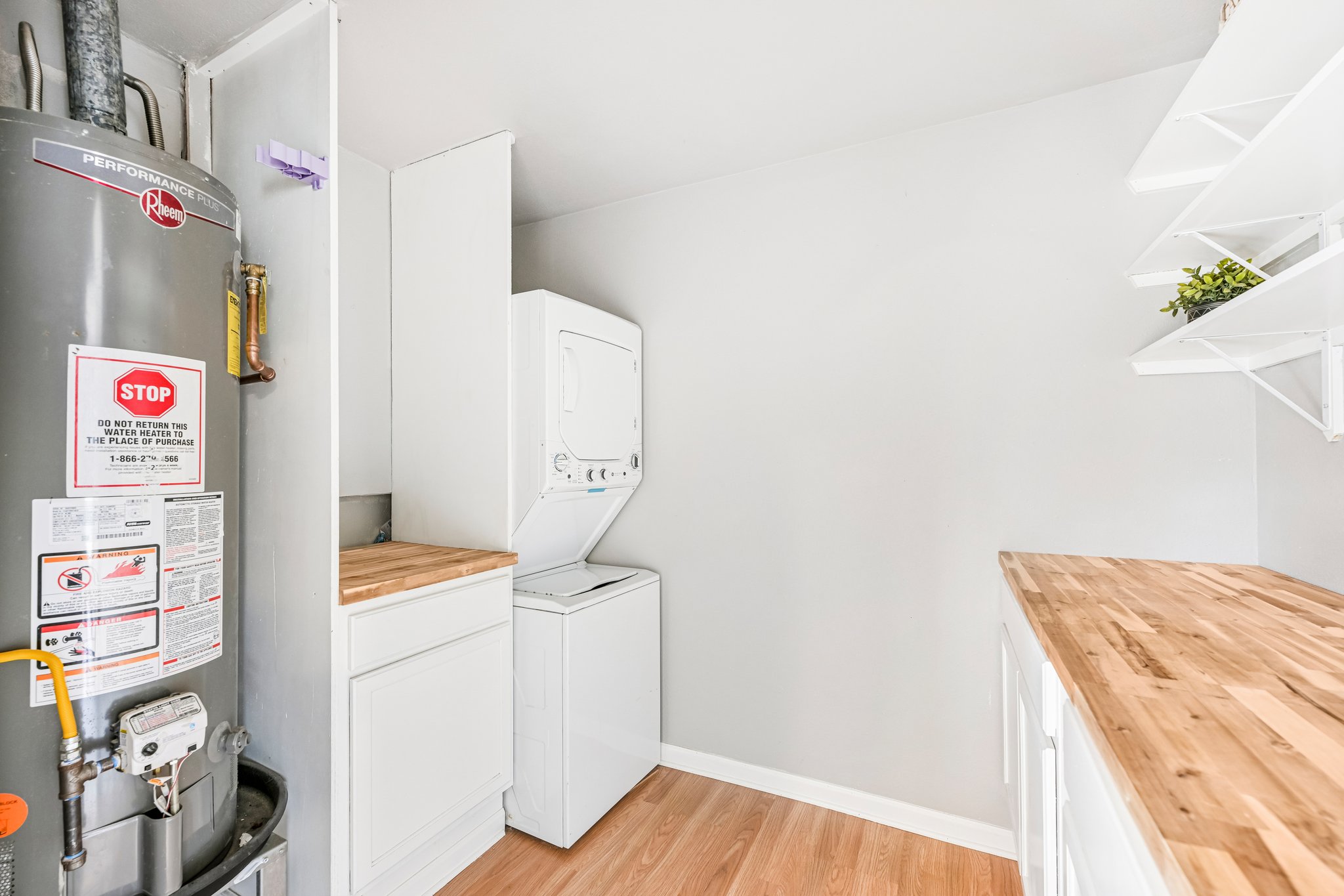 Palmera Cv-S1310-017.jpg