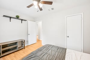 Palmera Cv-S1310-023.jpg