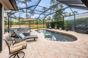 Patio and Pool1
