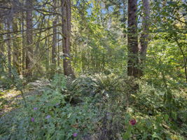  Photo 35