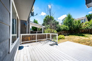 Backyard deck area