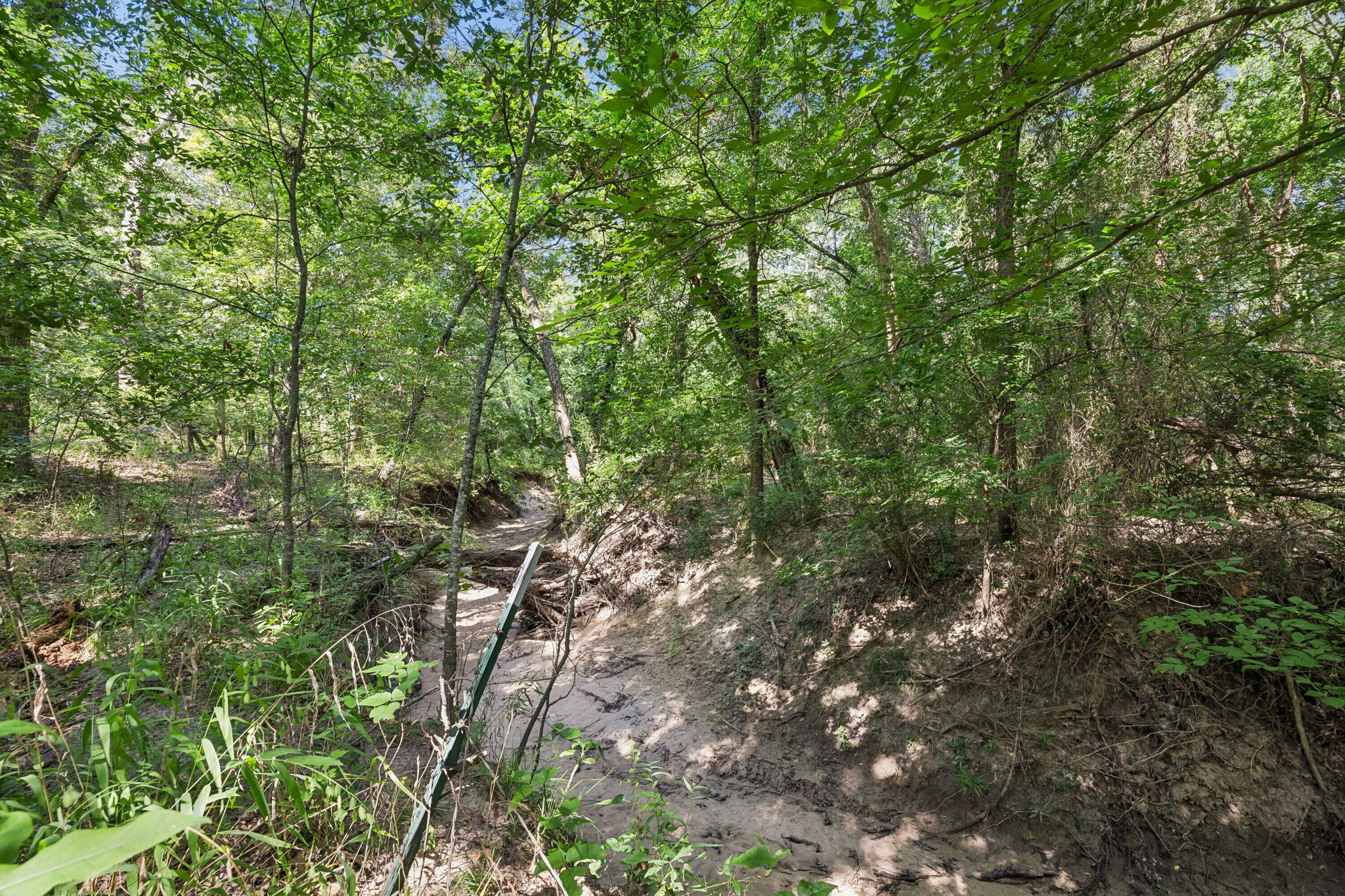 2209Hare_013