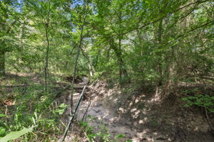 2209Hare_013