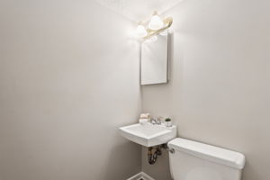 Lower Level Half Bath