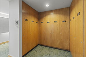 Photo 38