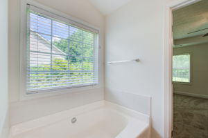 29 Main BR En Suite D Tub Detail w BR View