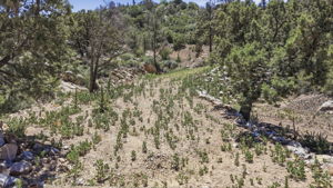 Lot Photo 5