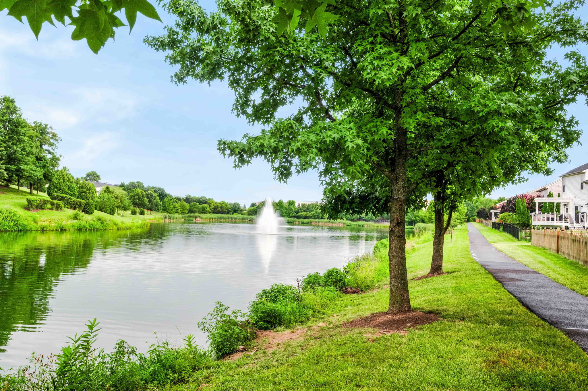 Community Lake!