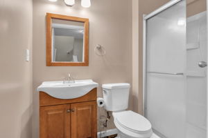 Lower Level - Bathroom