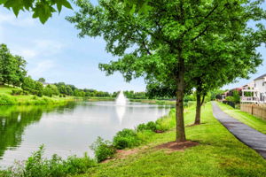 Community Lake!