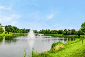Community Lake!