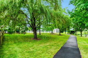 Community jog/walk