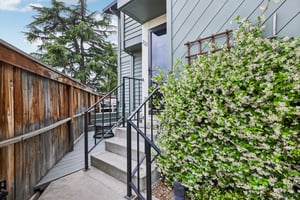 Fazeli Ct.-S2704-002.jpg