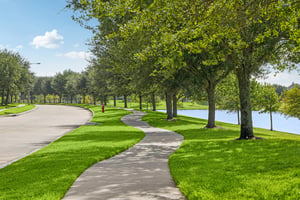 Indigo Pass Ct-2107-909.jpg