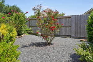 Indigo Pass Ct-L2107-083.jpg