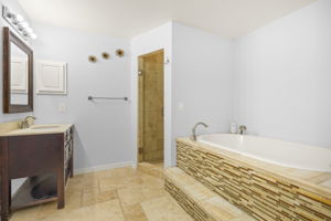 Primary Bathroom 2