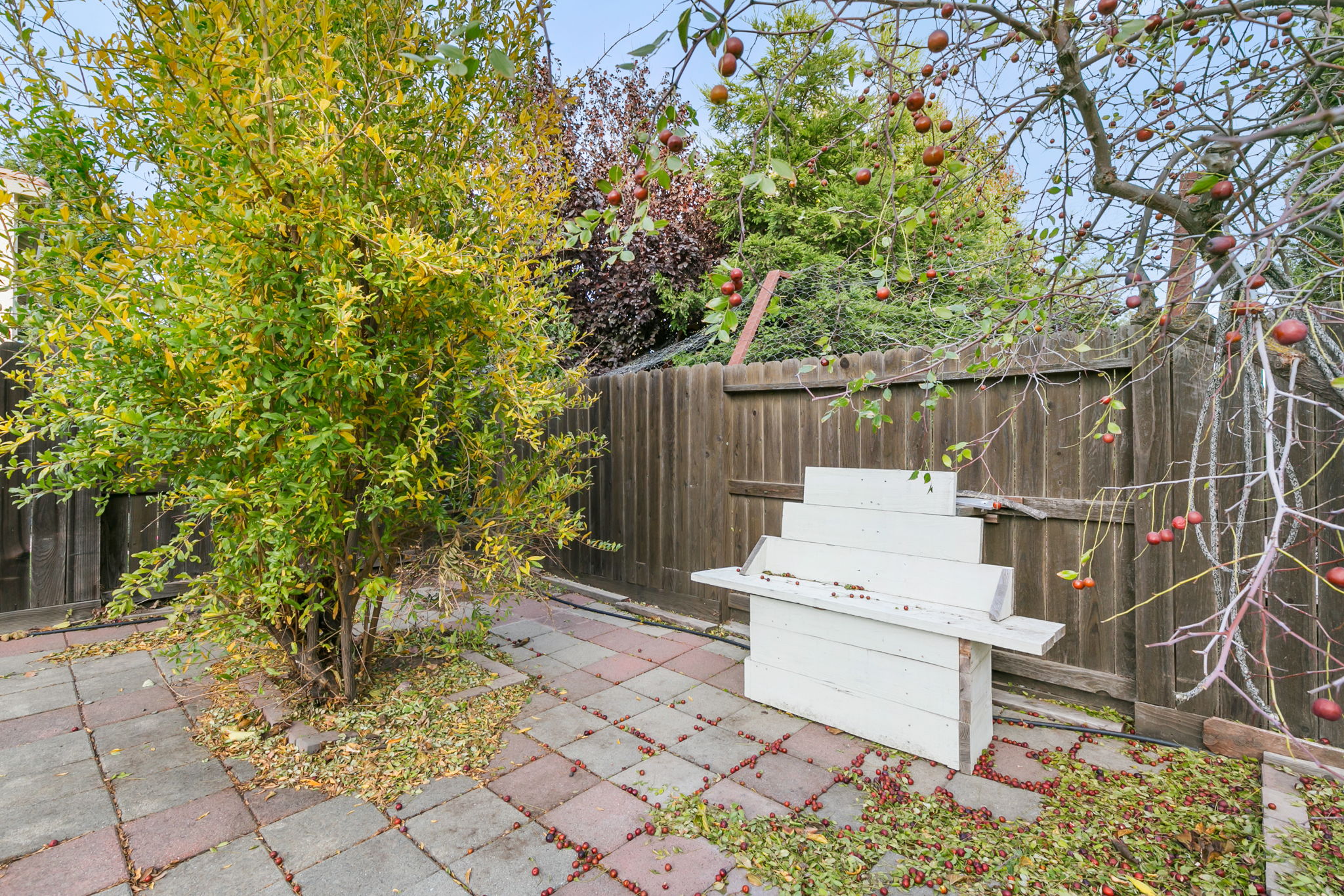 2023-11-22 - 2213 Ragen St Woodland CA 95776 47