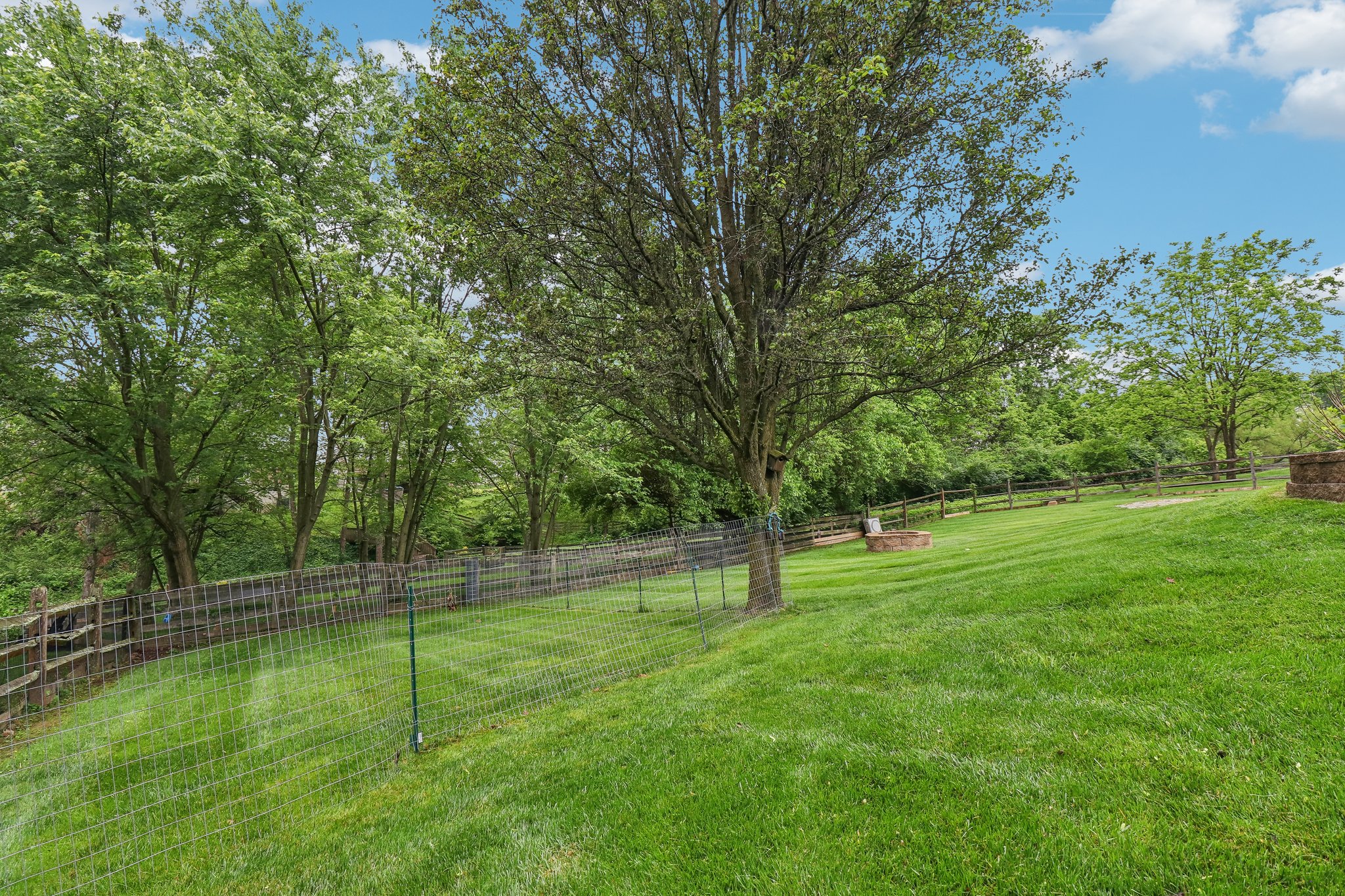 Treetop Ln-062.jpg