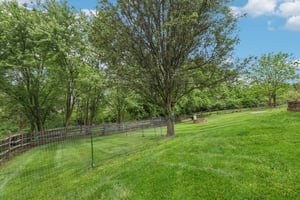 Treetop Ln-062.jpg