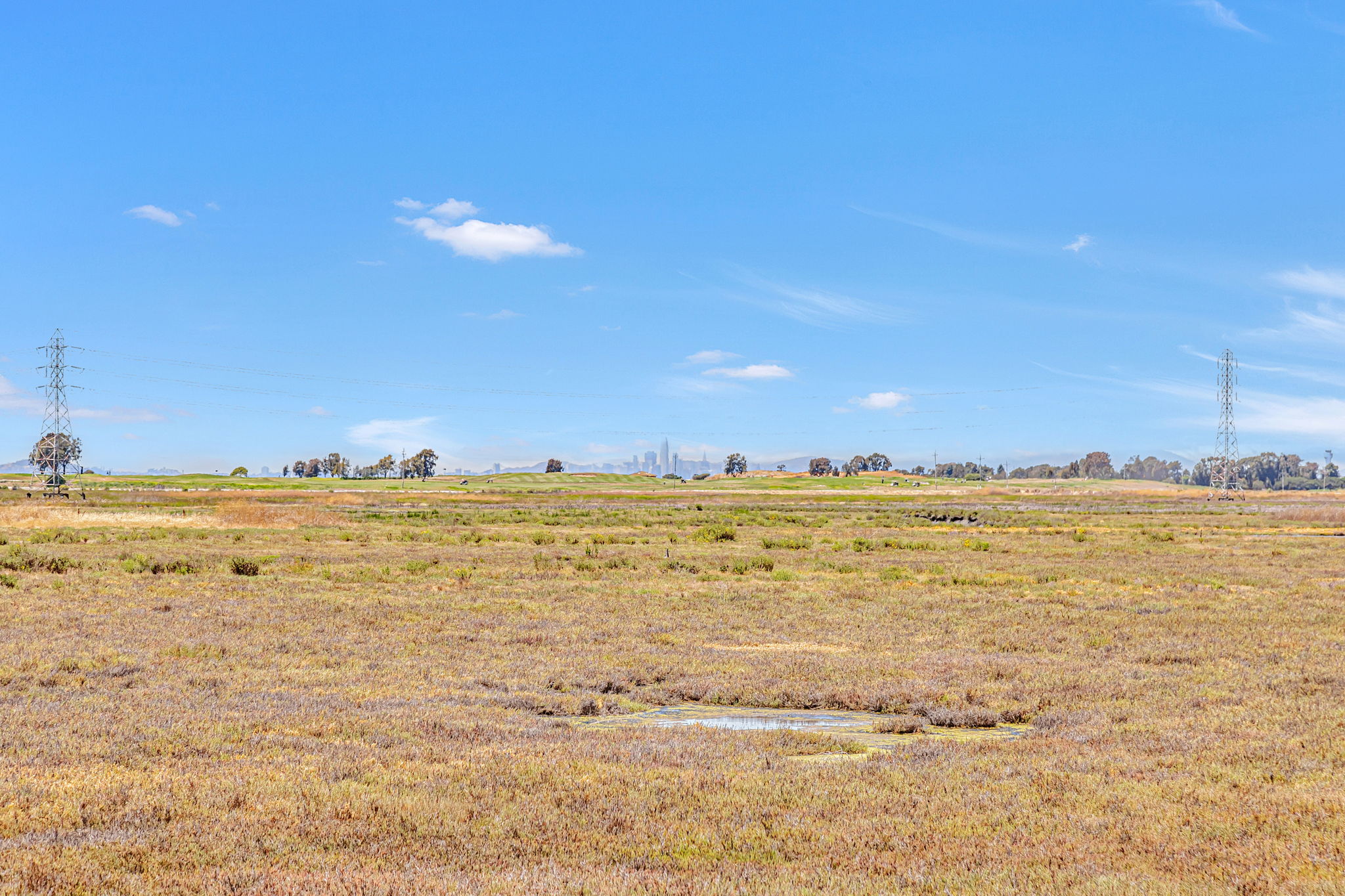 047_2213 Wigeon Ct 