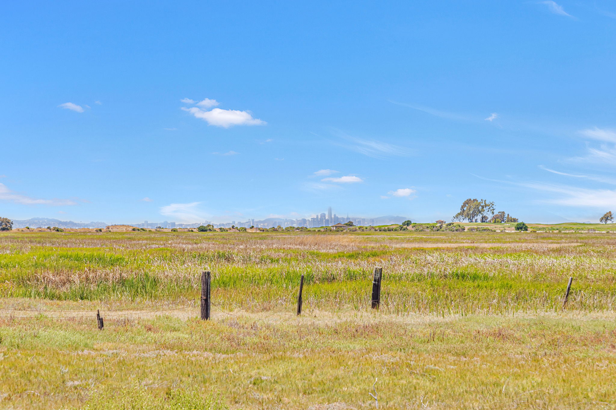 049_2213 Wigeon Ct 