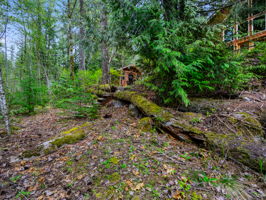  Photo 49