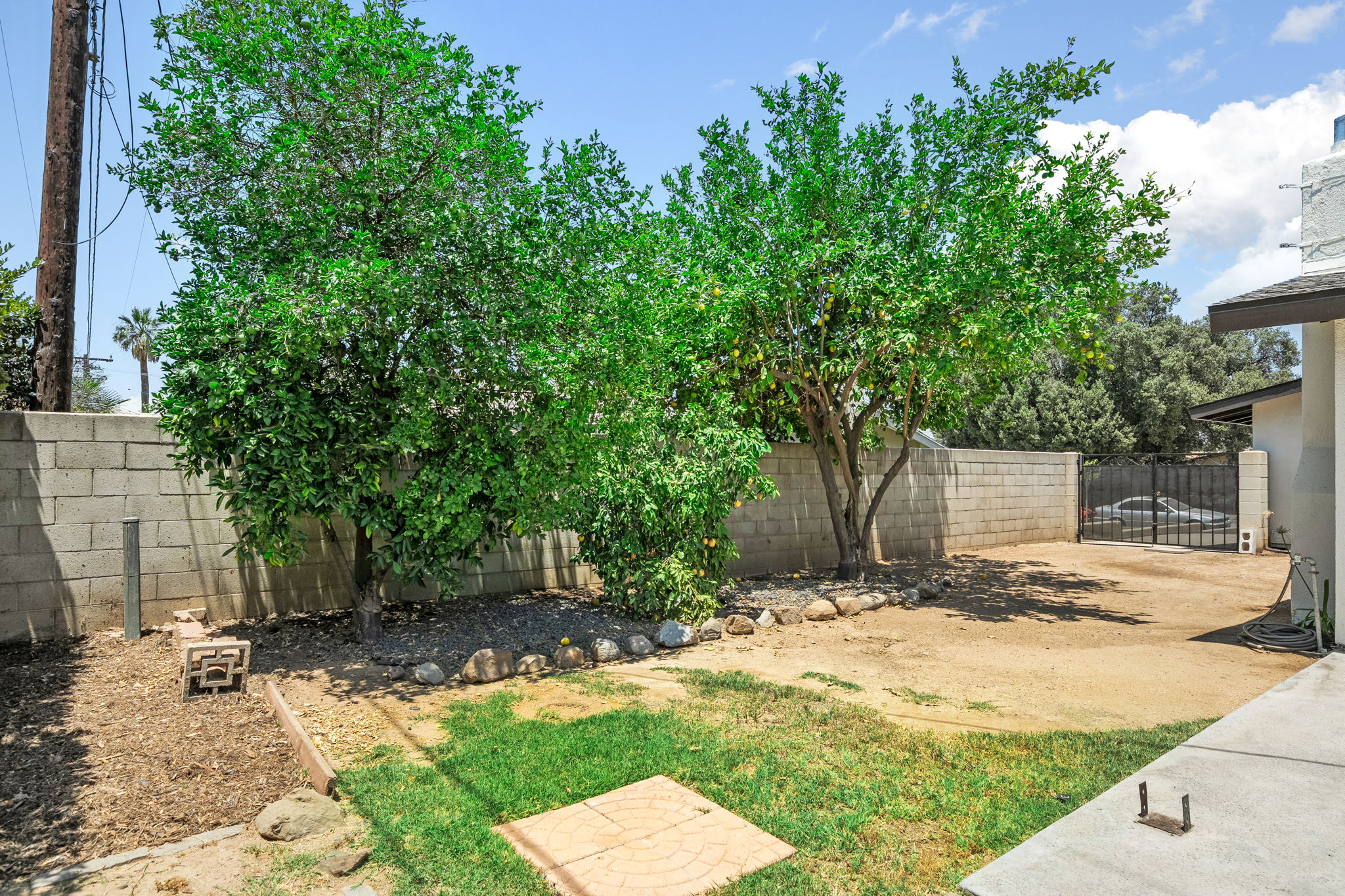  Photo 25