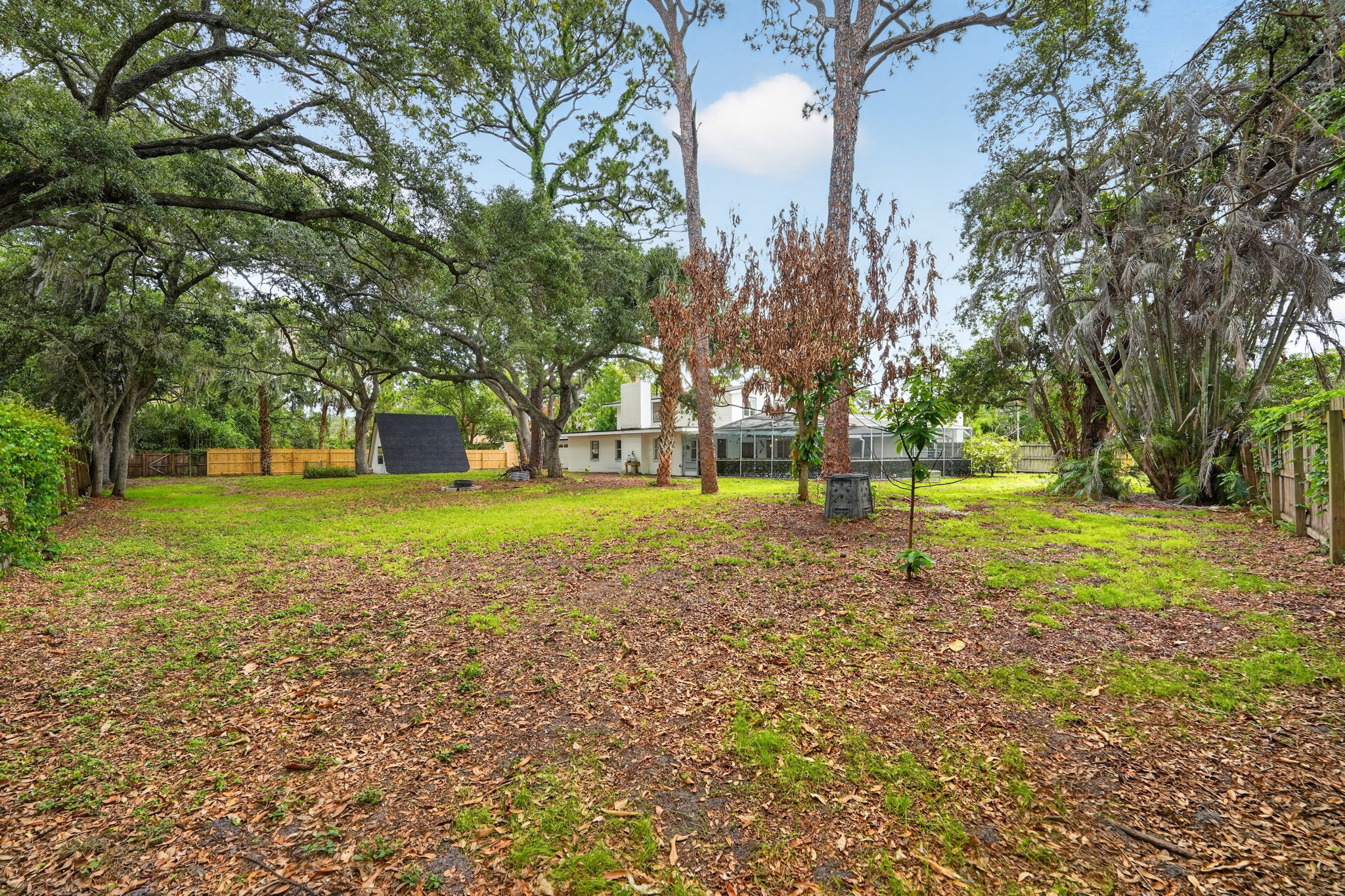 Backyard