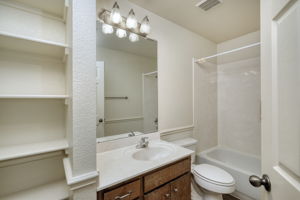 Hall Bathroom
