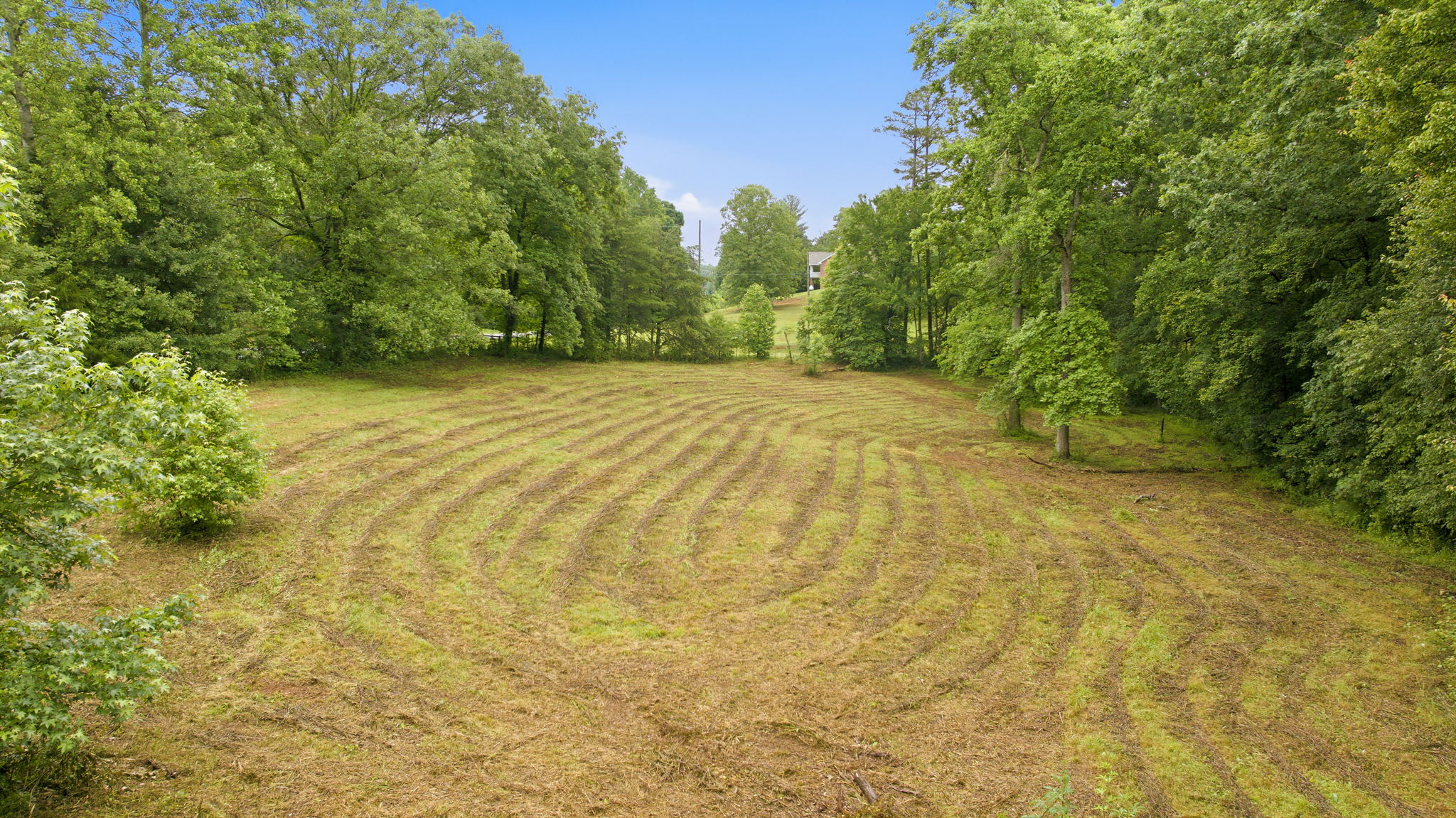 Image-42