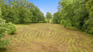 Image-42