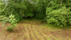 Image-43