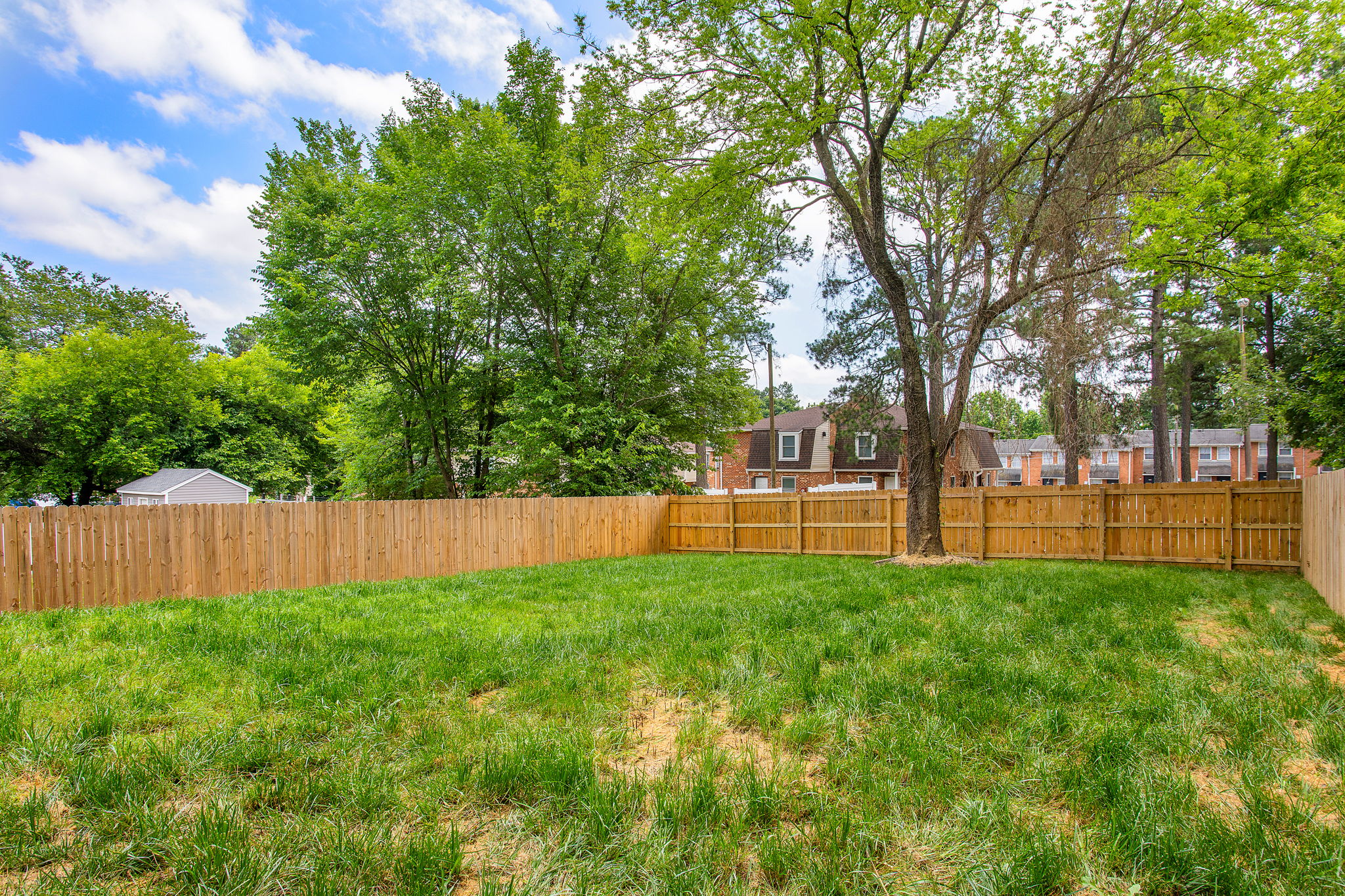 38-Backyard