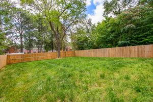 39-Backyard
