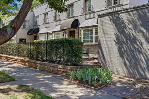Mature shrubs provide privacy
