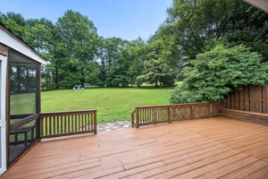 Larchmont 61