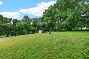 Larchmont 95