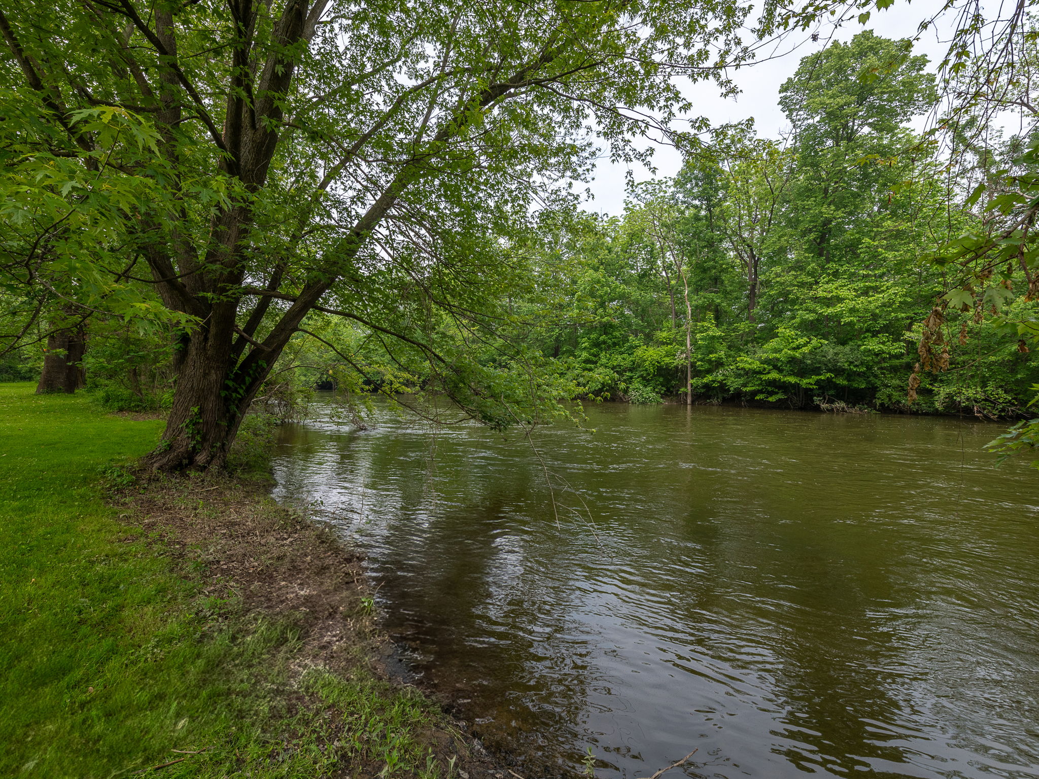  Photo 47