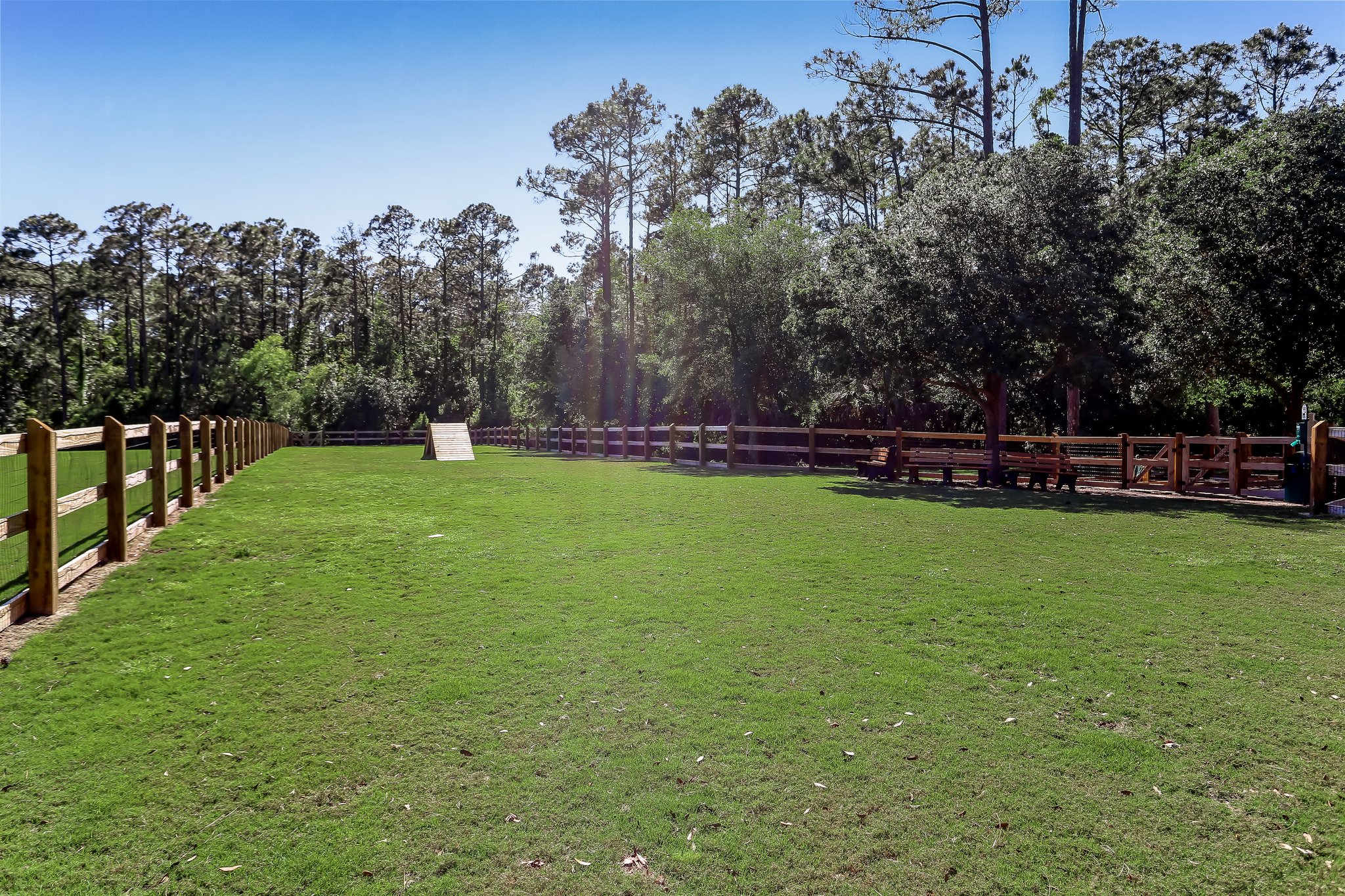 Coastal Oaks