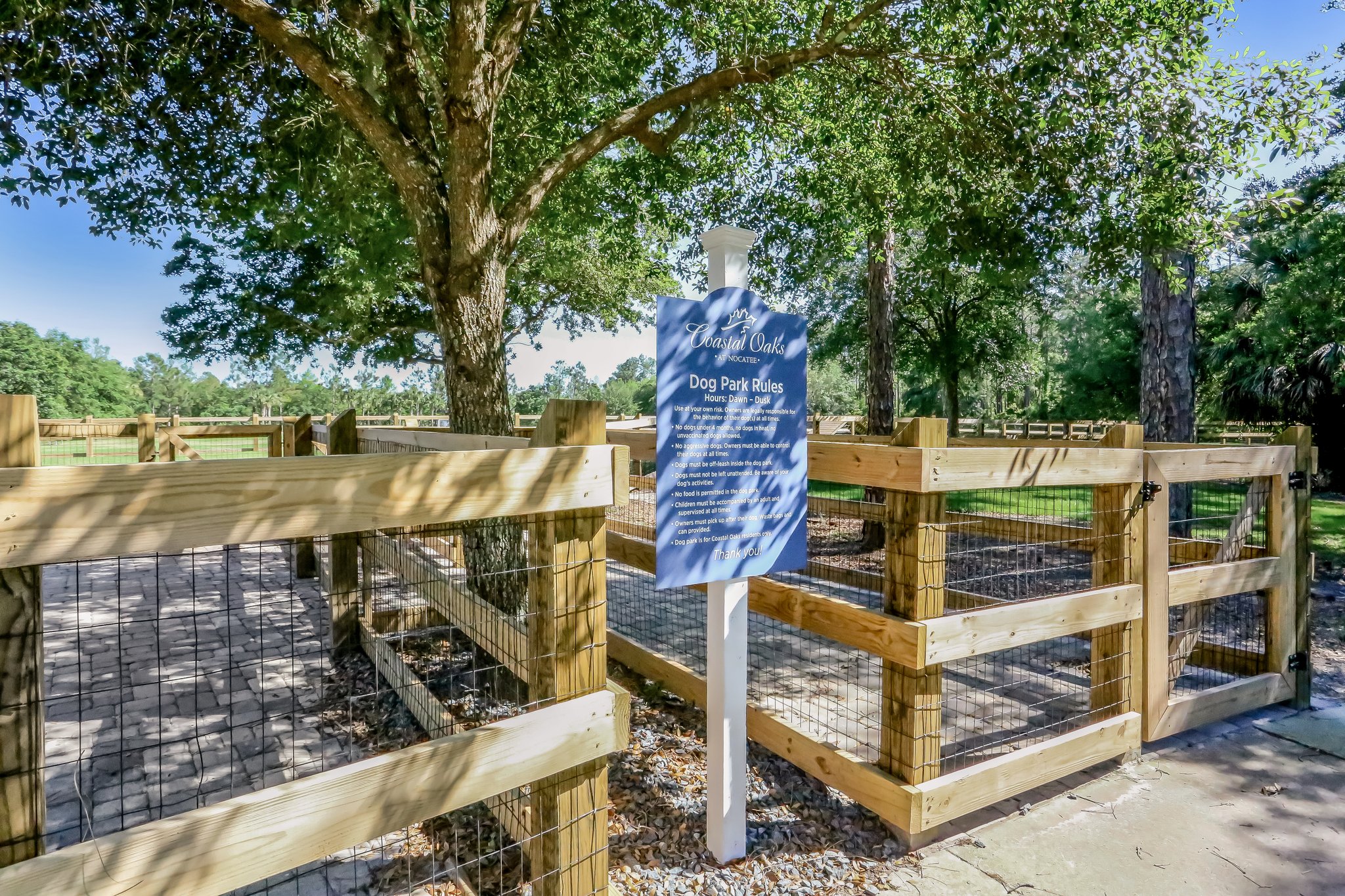 Coastal Oaks