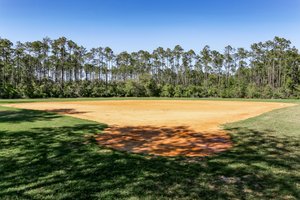 Coastal Oaks