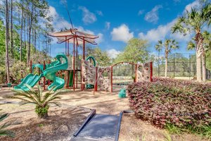 Coastal Oaks