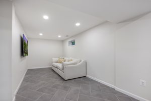 Lower level - expansive family room & flex space