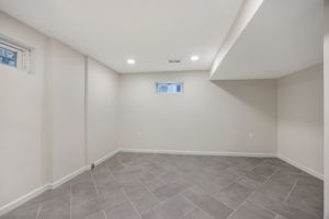 Lower level - expansive family room & flex space
