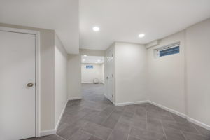 Lower level - expansive family room & flex space