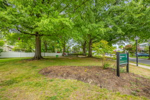 Del Ray Area