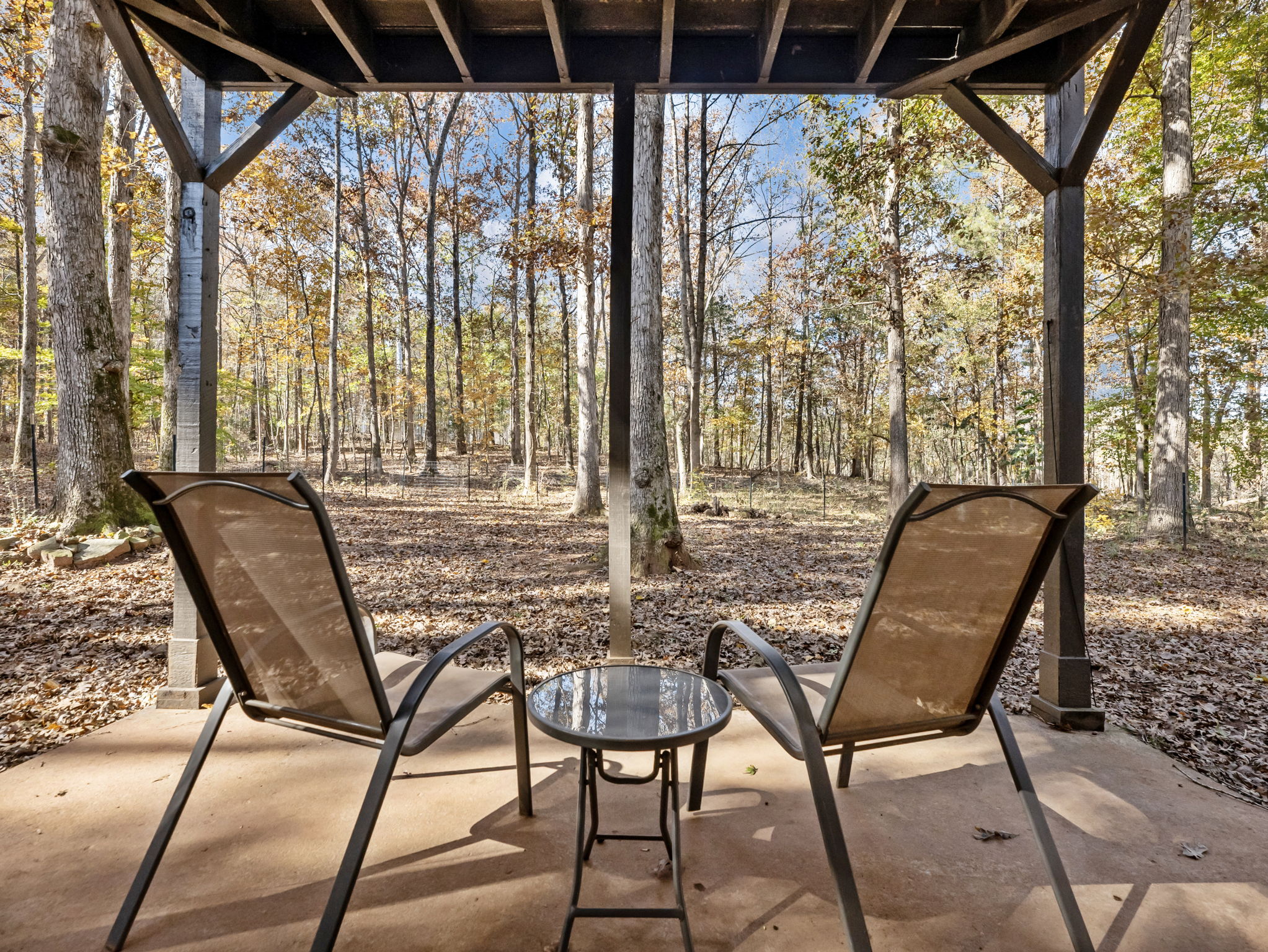 Photo 42
