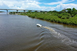 Photo 49